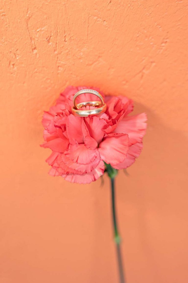 Zwei goldfarbene Eheringe auf einer korallfarbenen Blüte vor orangefarbenem Hintergrund.