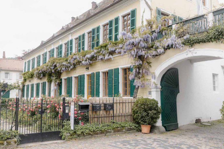 Romantische Hochzeitslocation - Weingut Fitz-Ritter Rheinland-Pfalz