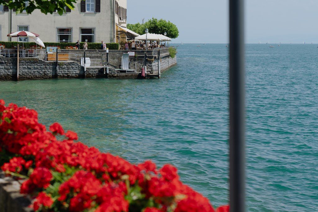 Blick über rote Geranien auf einer Mauer hinaus auf den Bodensee und ein Haus direkt am Wasser