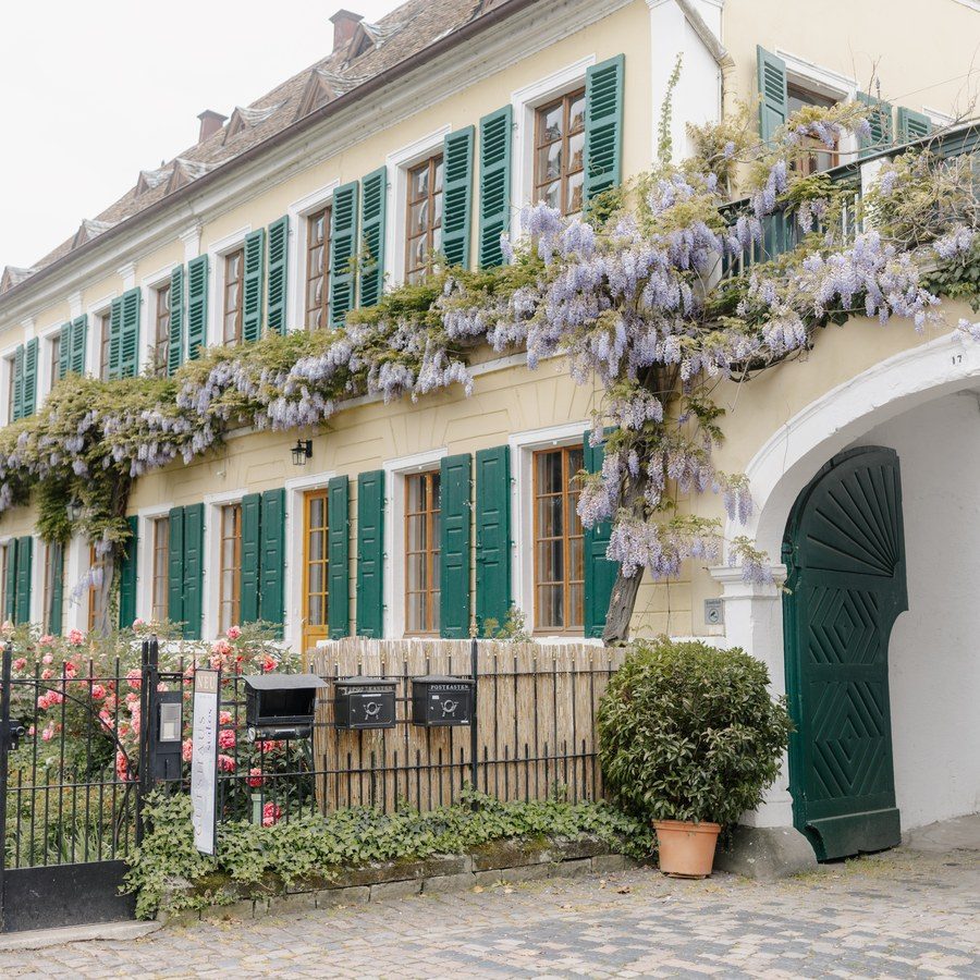 Hochzeitsplanung Rheinland-Pfalz: Gutshaus mit grünen Fensterläden, blühender Glyzinie und Rosen als Hochzeitslocation
